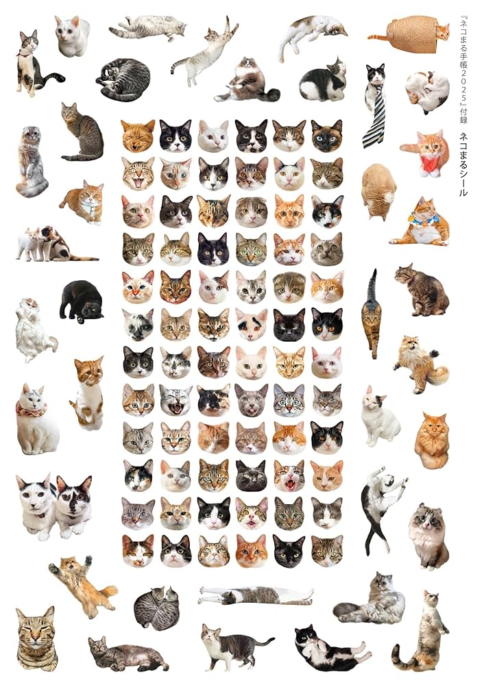 ねこまる プロフ/商品説明欄必読 2025 ネコまる手帳【付録：ネコシール111枚】 | ネコまる編集部